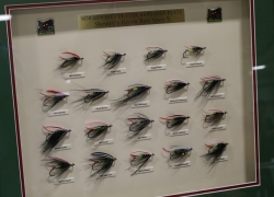 Shewey's Green Butt Spey Plate - 2017