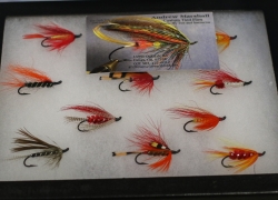 Andrew Marshall Flies - 2018