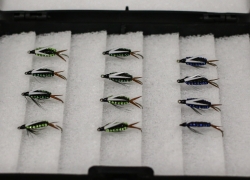 Cathy Hamilton - 2018