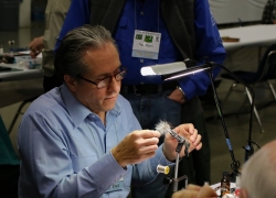 Steven Fernandez - 2018