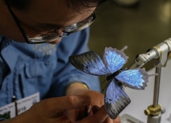 Jackson Leong - 2018