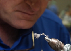 Fly in progress - Chris Williams