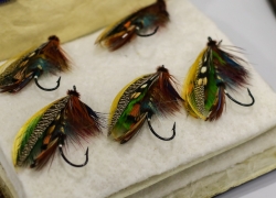 Dareld Thompson Flies