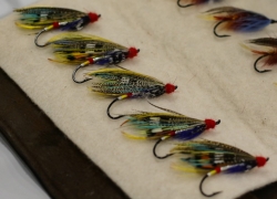 Dareld Thompson Flies