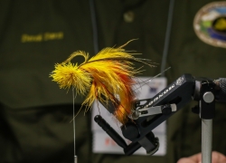 Derek Darst Work in Progress - 2017