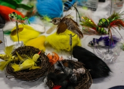 Garret Lesko Birds - 2018