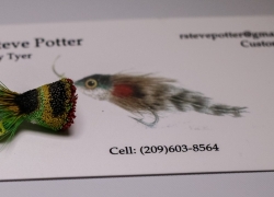 Steve Potter - Mini Frog