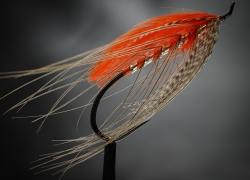 Orange Heron by Sean Dahlquist