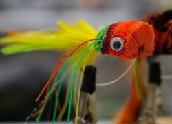 Shawn West Bass Bug - 2016